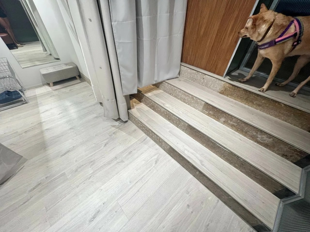 快步地板鋪在店面階梯的整體效果