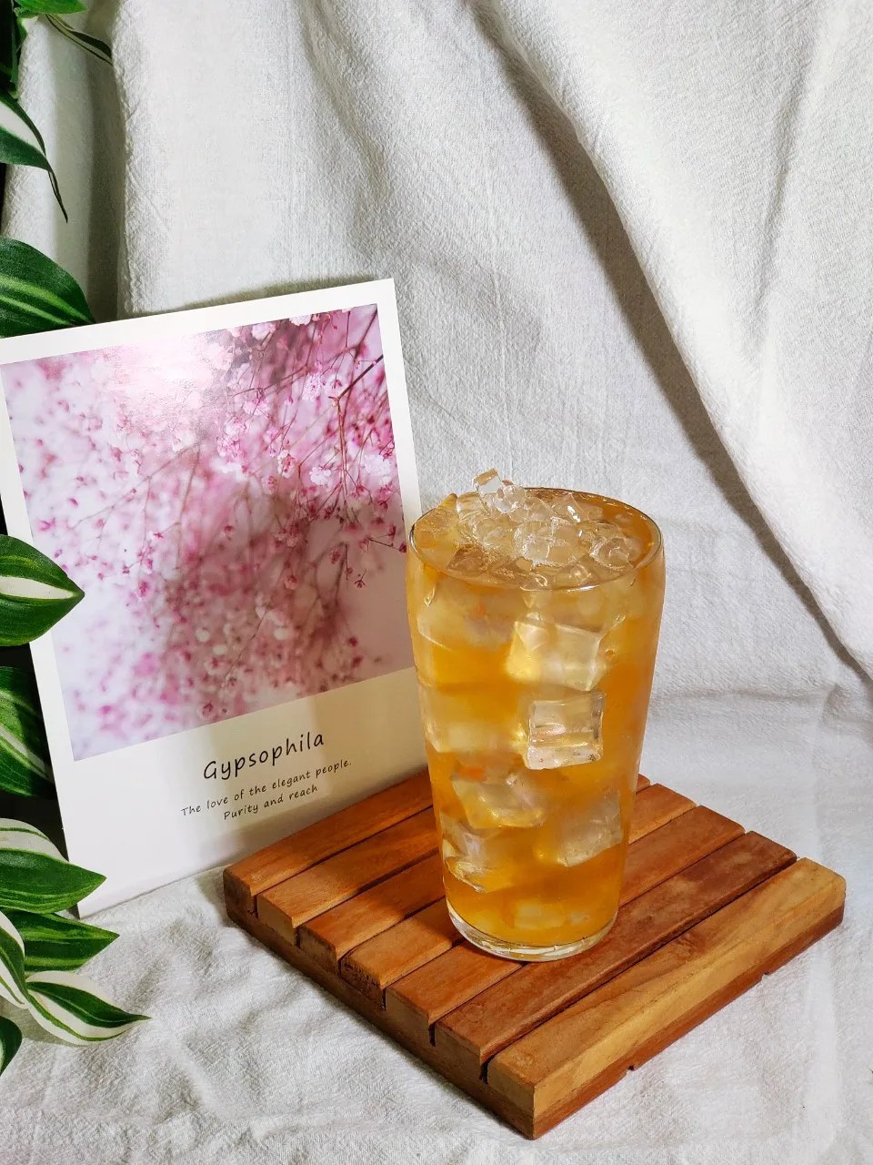 惡魔眼淚，葡萄柚配綠茶