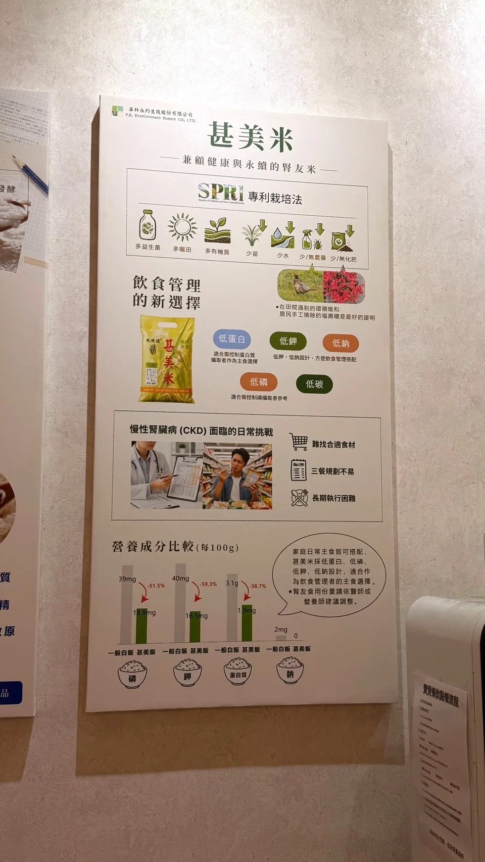 寶煲餐飲牆面甚美米介紹海報