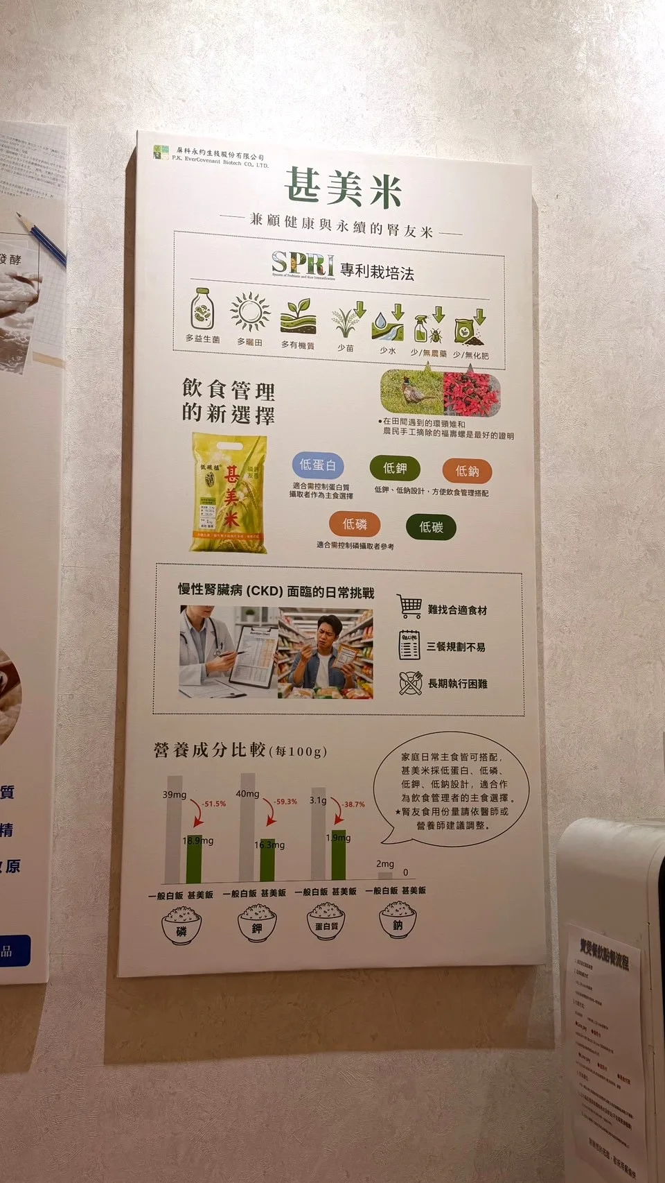 寶煲餐飲牆面甚美米介紹海報
