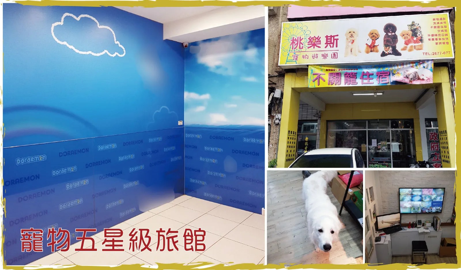 台南寵物住宿|桃樂斯 不關籠寵物旅店,低敏飼料+監控攝影