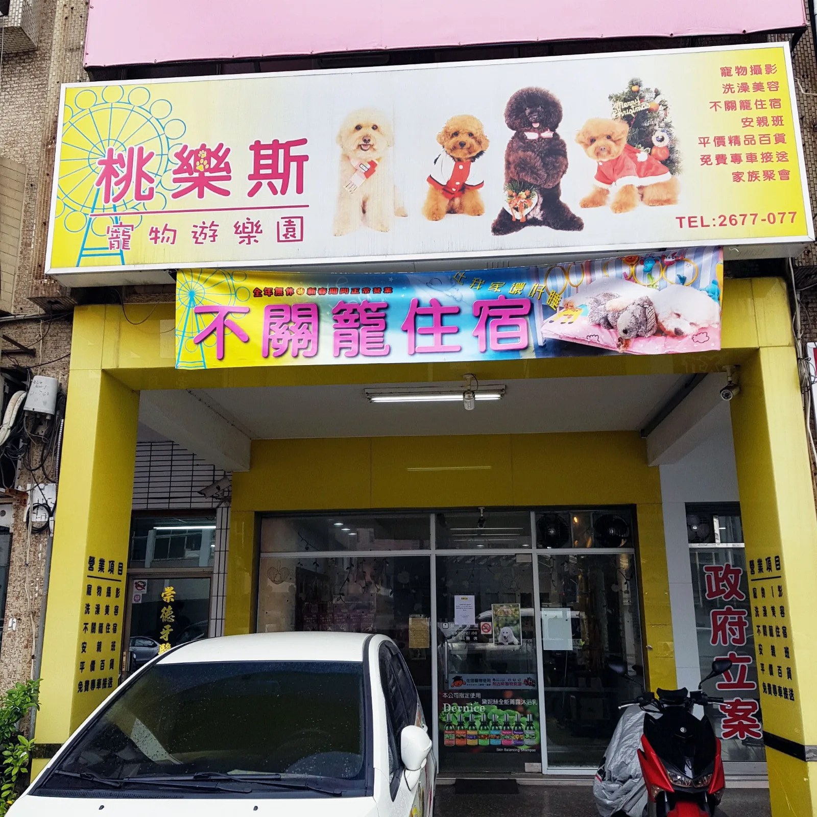 依毛孩個性提供服務