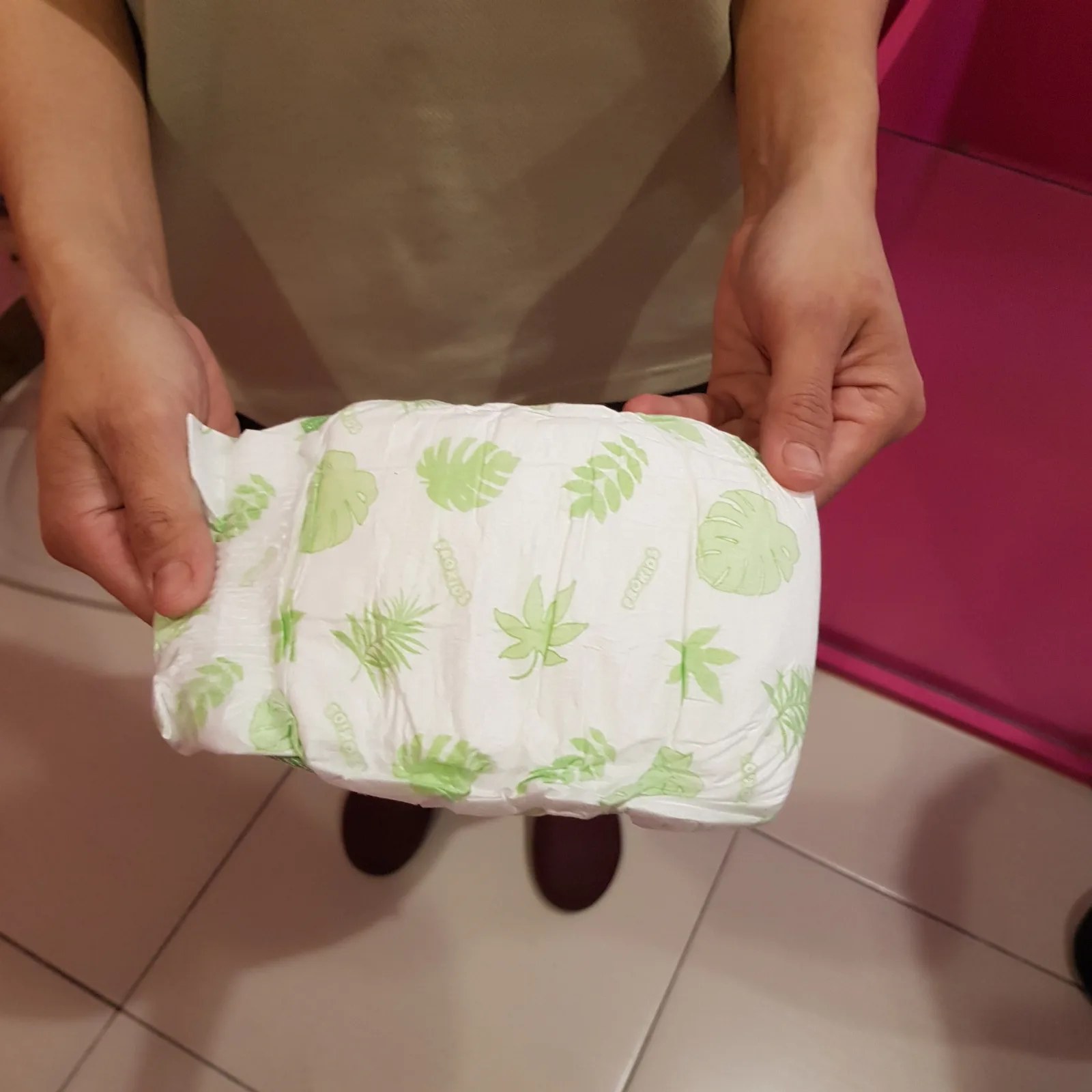 小型毛孩的房間