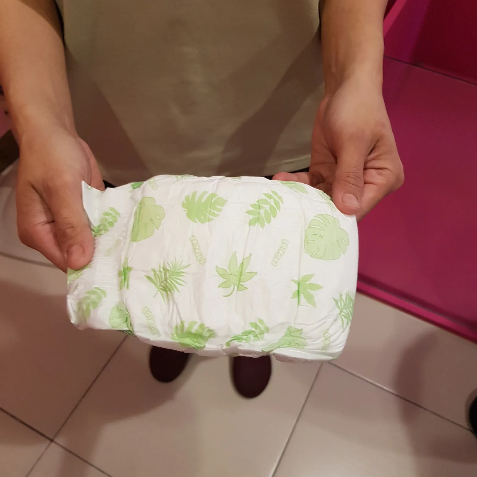 小型毛孩的房間